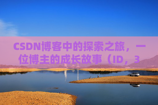 CSDN博客中的探索之旅,一位博主的成长故事(ID,369523246)